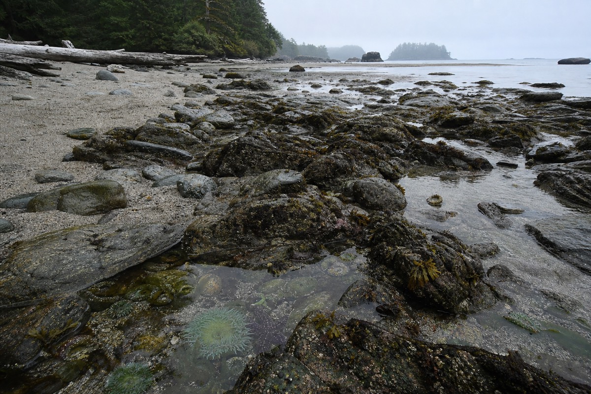 Tofino, Vancouver Island