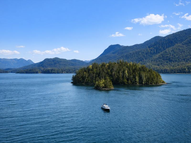 Best Private Tofino Boat Tour – Big Tree Trail & Hands-On Crabbing