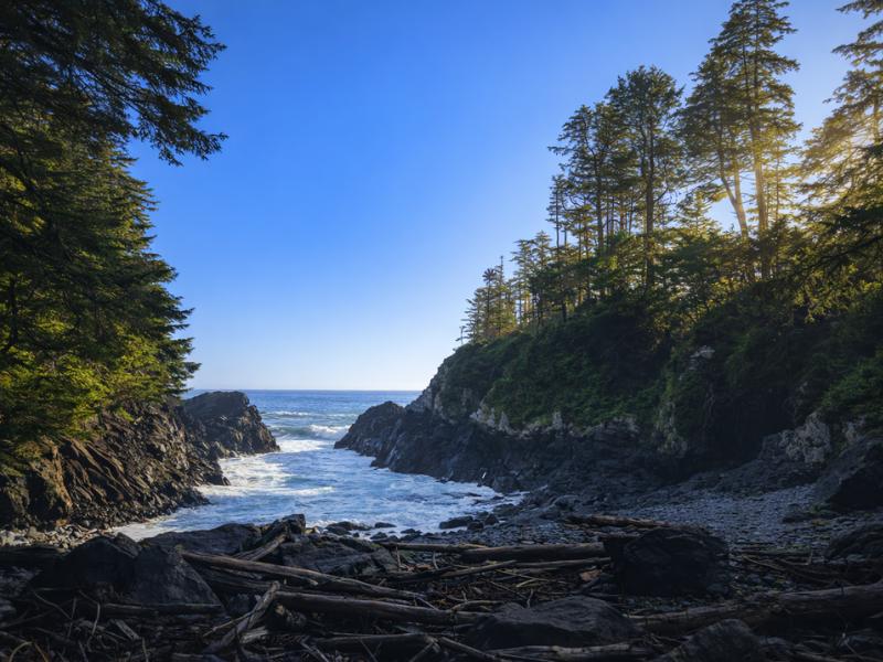 Tofino Hot Springs Cove Tour with Wildlife Cruise
