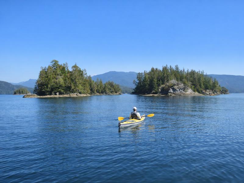 Tofino to Clayoquot Sound: Kayak Tour with Scenic Boat Transfer